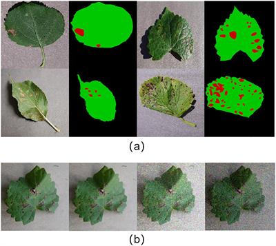 DINOV2-FCS: a model for fruit leaf disease classification and severity prediction